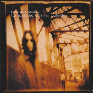 Tomcats screaming outside